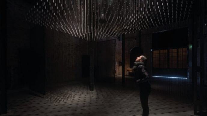 MEXICO EN LA BIENAL